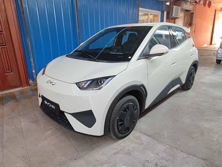 Фото 2 - BYD Seagull