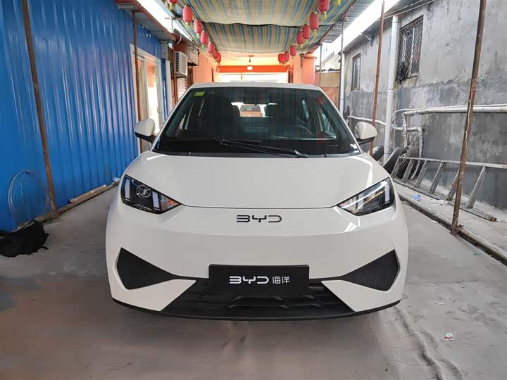 Фото 3 - BYD Seagull