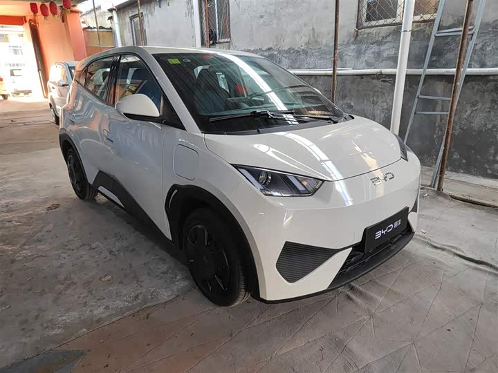 Фото 4 - BYD Seagull