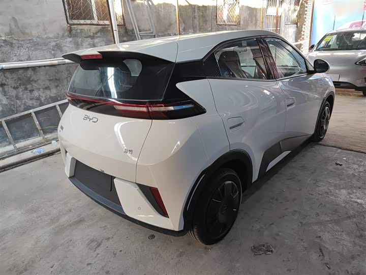 Фото 7 - BYD Seagull