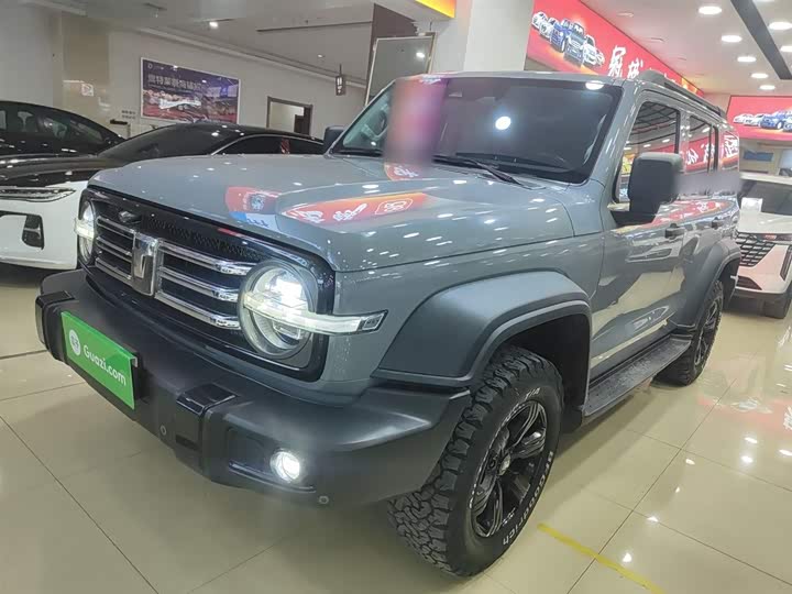 Фото 2 - Tank 300