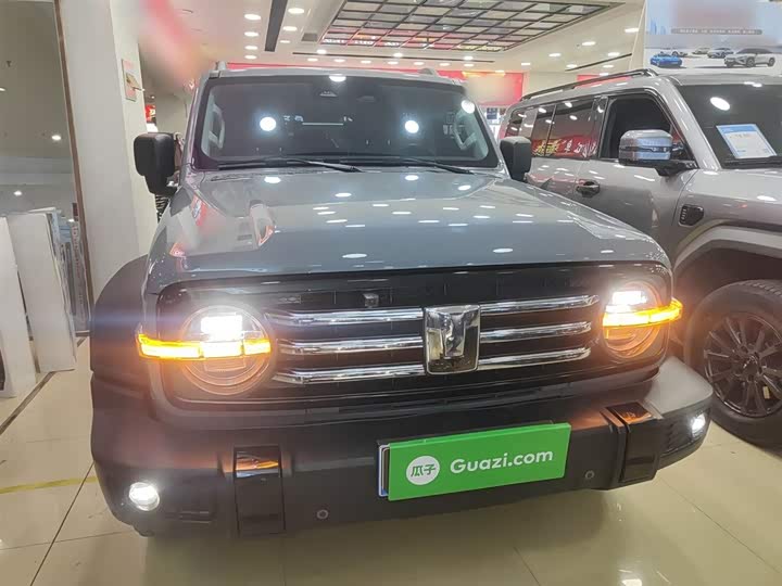 Фото 3 - Tank 300