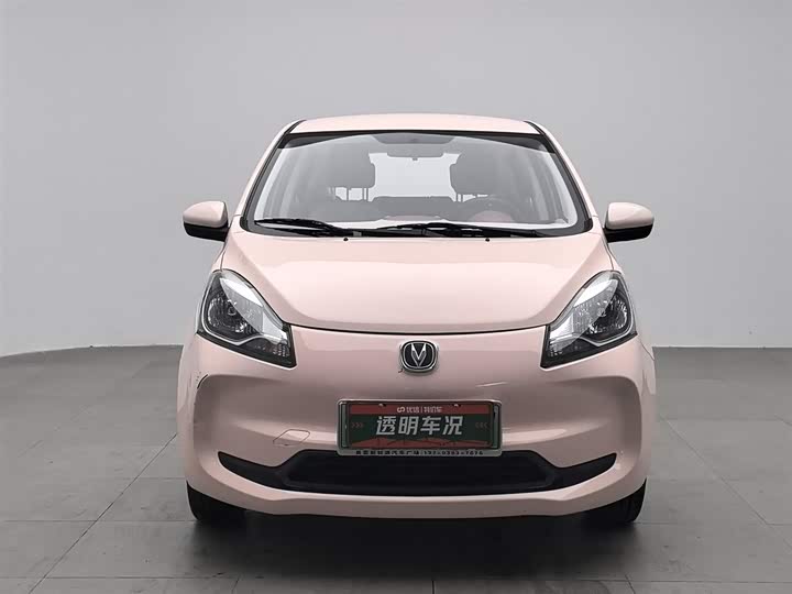 Фото 3 - Changan BenBen E-Star