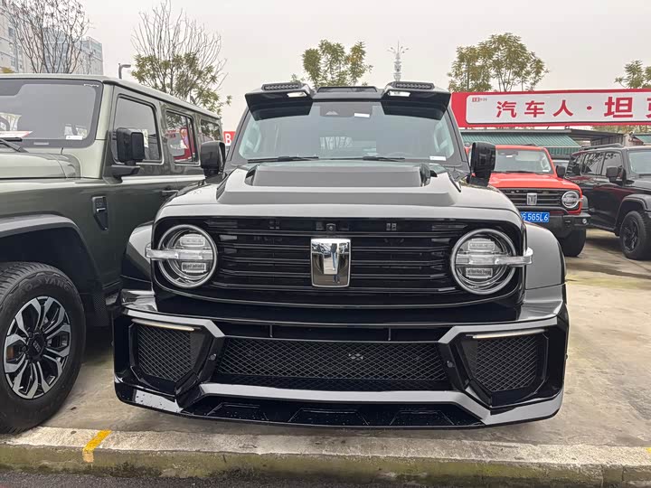 Фото 2 - Tank 300