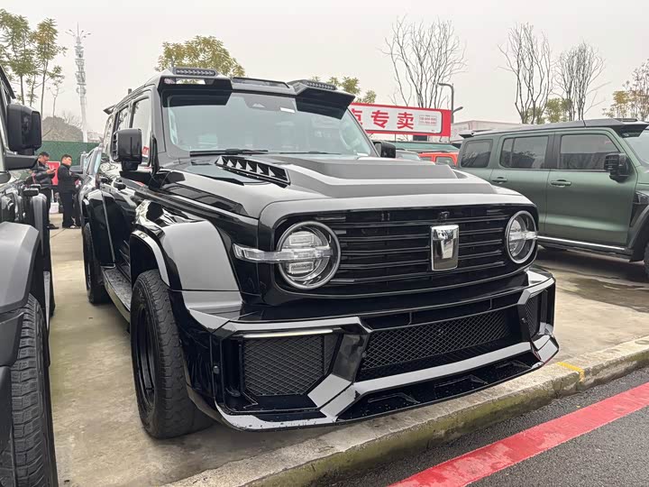 Фото 3 - Tank 300