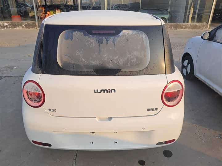 Фото 6 - Changan Qiyuan (Nevo) Lumin