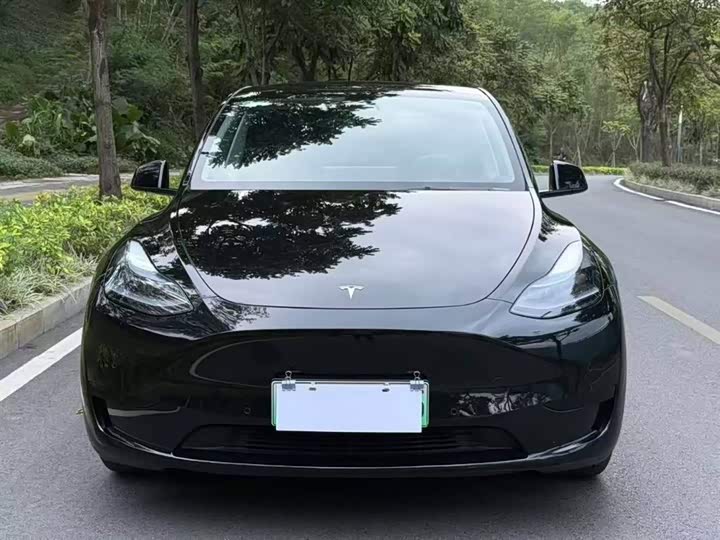 Фото 2 - Tesla Model Y