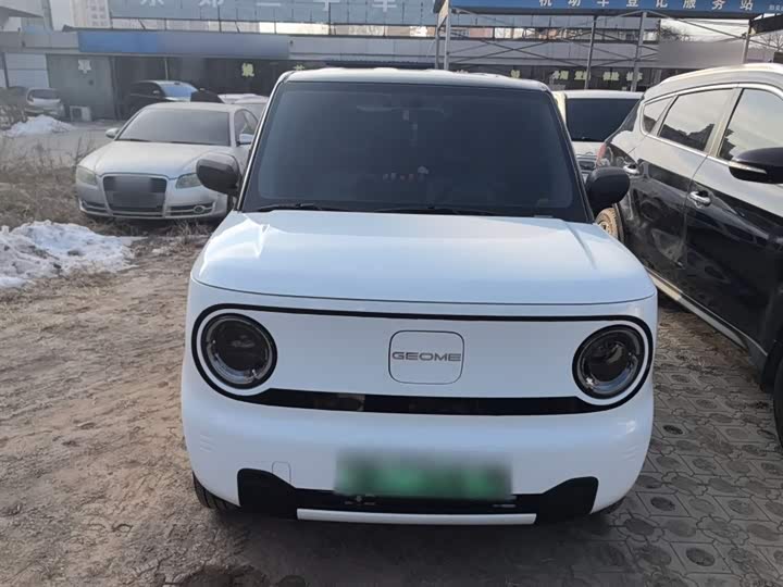 Фото 3 - Geely Galaxy Panda Mini