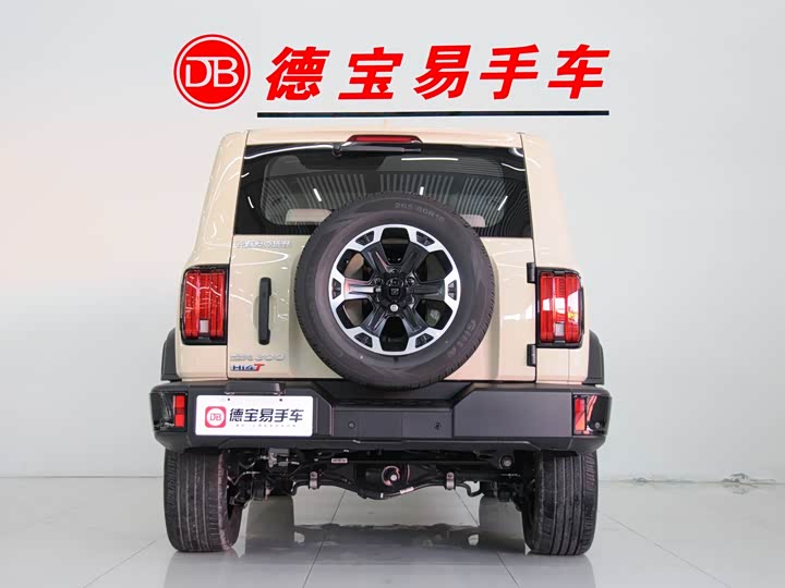 Фото 4 - Tank 300 Hybrid