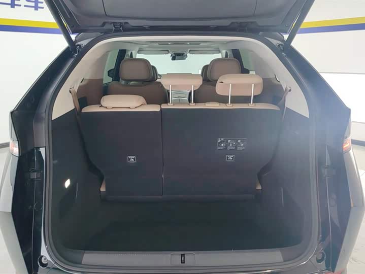 Фото 4 - XPeng X9