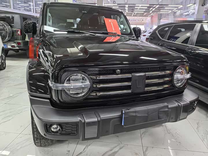 Фото 2 - Tank 300