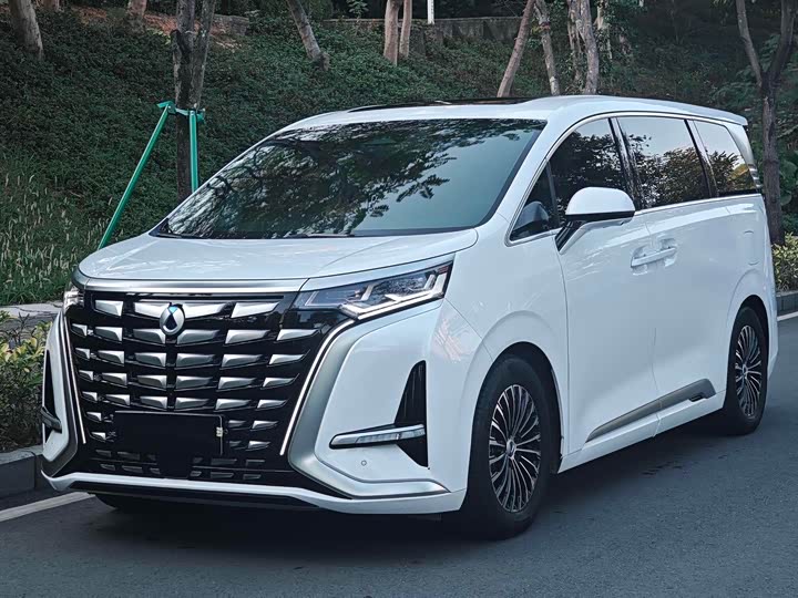 Фото 1 - Denza D9