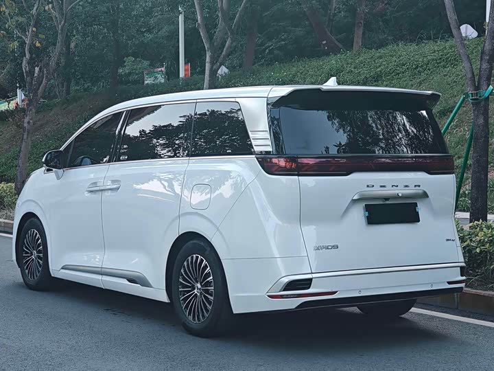 Фото 4 - Denza D9