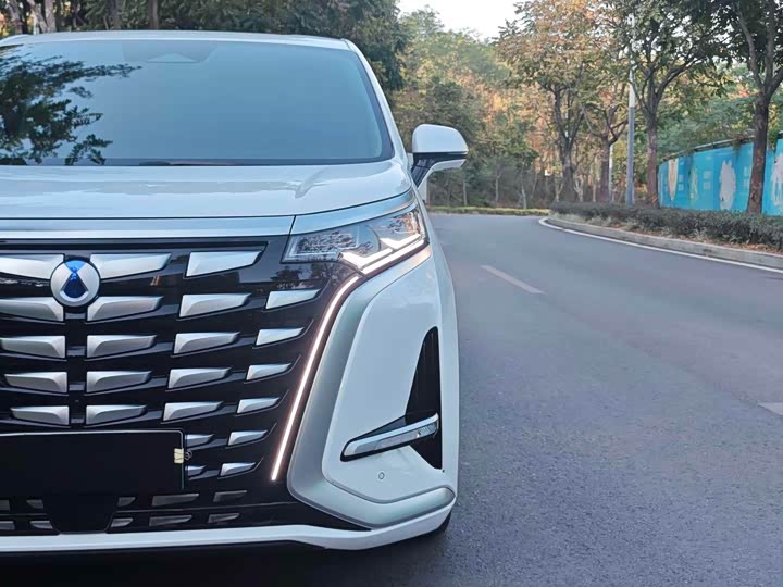 Фото 6 - Denza D9