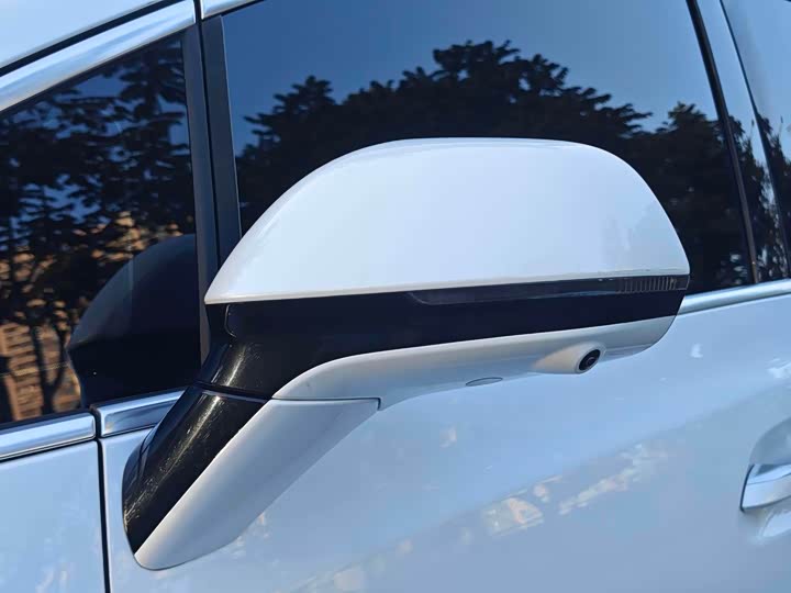 Фото 8 - Denza D9