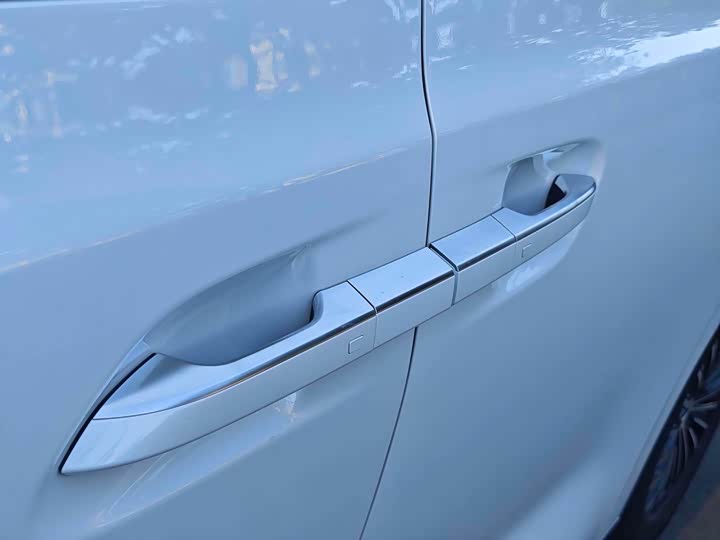 Фото 9 - Denza D9