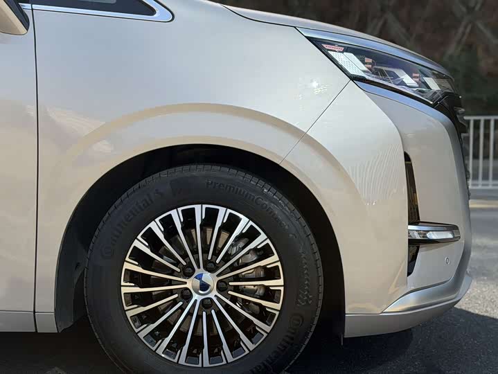 Фото 4 - Denza D9