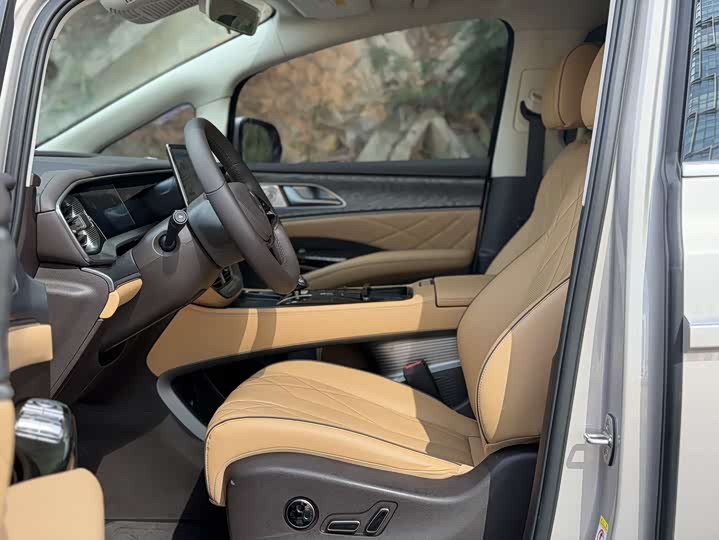 Фото 6 - Denza D9