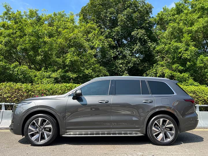 Фото 3 - LiXiang One