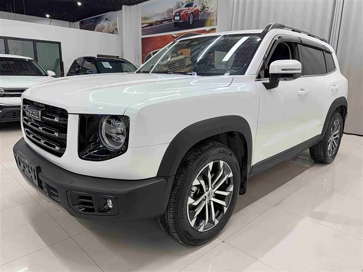 Фото 1 - Haval Dargo