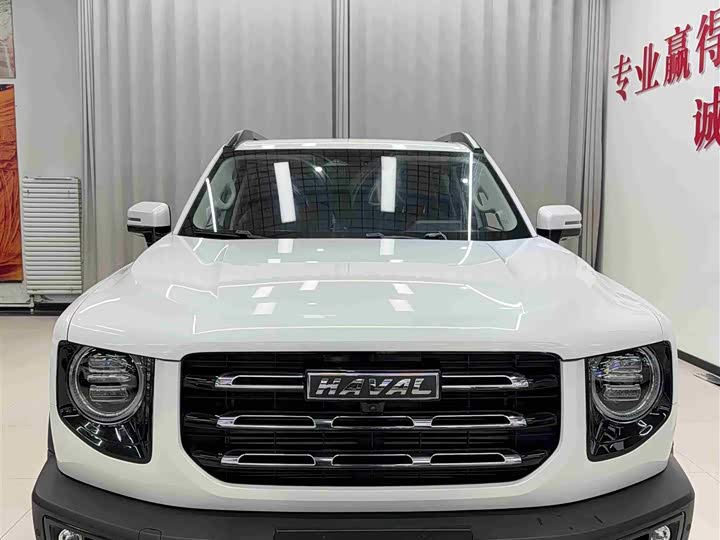 Фото 2 - Haval Dargo