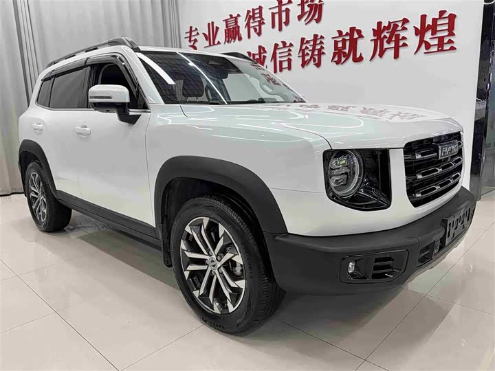 Фото 3 - Haval Dargo