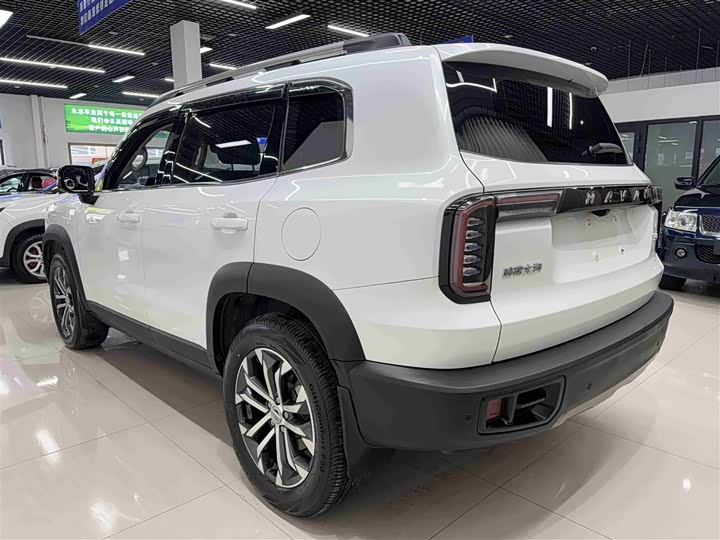 Фото 4 - Haval Dargo