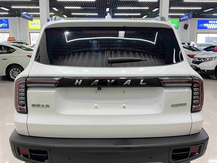 Фото 5 - Haval Dargo