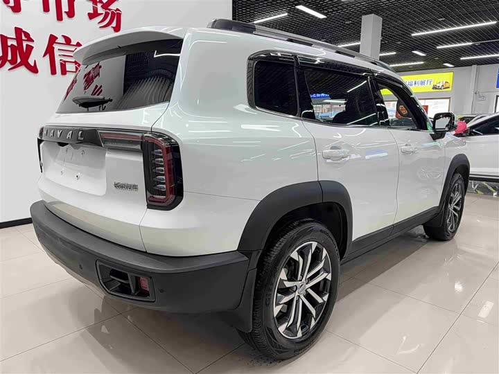 Фото 6 - Haval Dargo