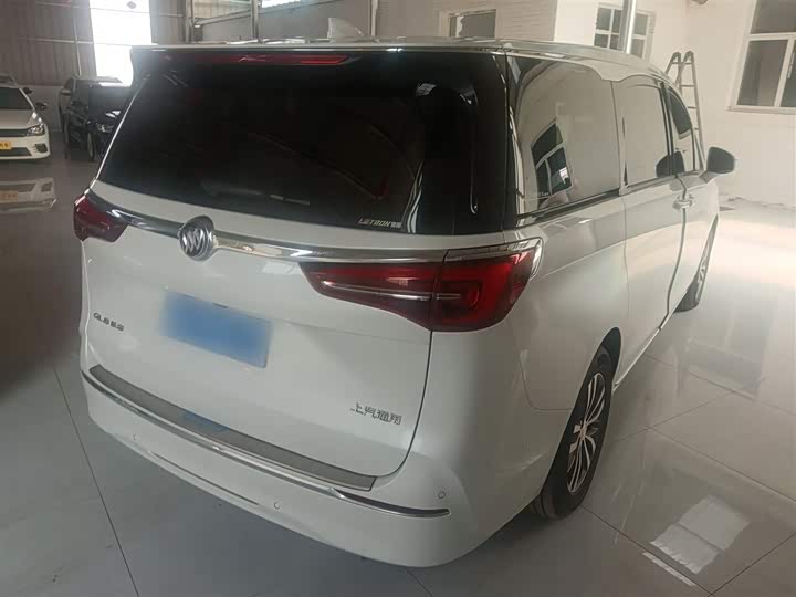 Фото 7 - Buick GL8 ES