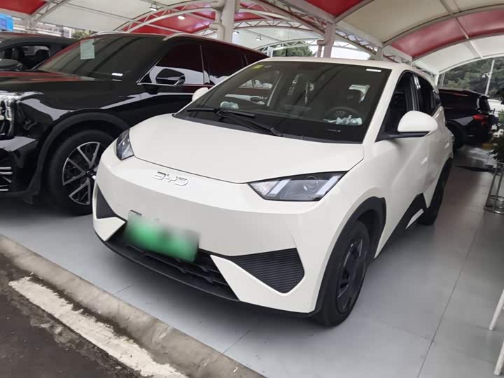 Фото 2 - BYD Seagull