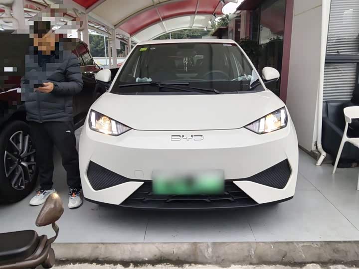 Фото 3 - BYD Seagull