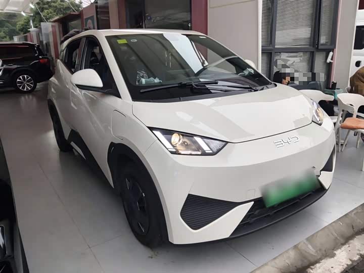 Фото 4 - BYD Seagull