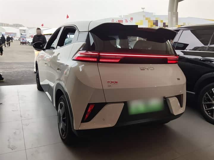 Фото 5 - BYD Seagull