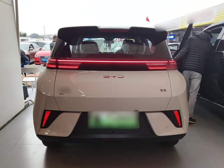 Фото 6 - BYD Seagull