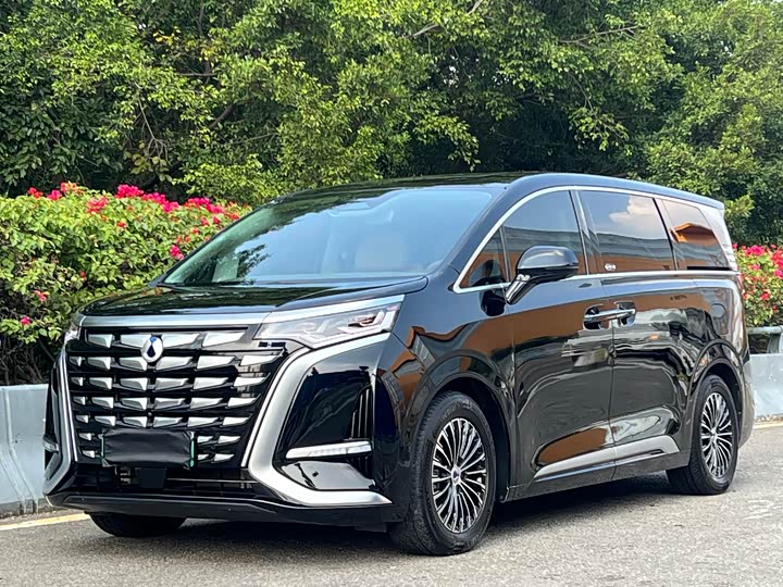 Фото 1 - Denza D9