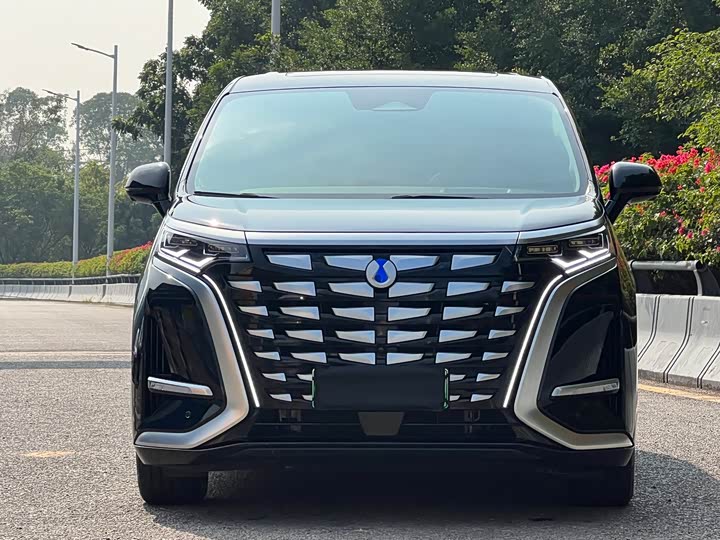 Фото 2 - Denza D9