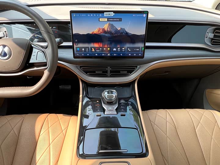 Фото 4 - Denza D9