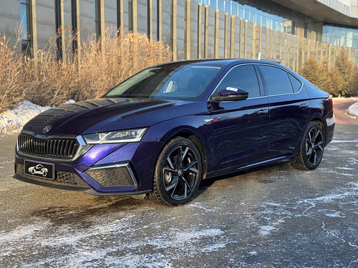 Фото 1 - Skoda Octavia Pro