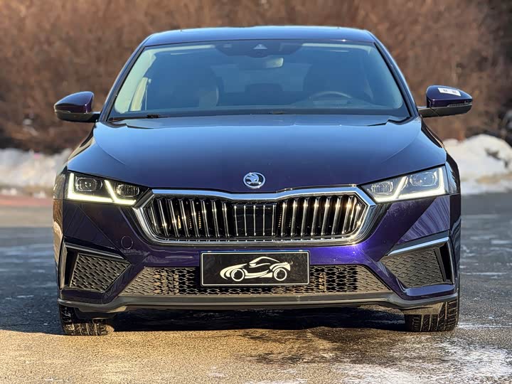 Фото 2 - Skoda Octavia Pro