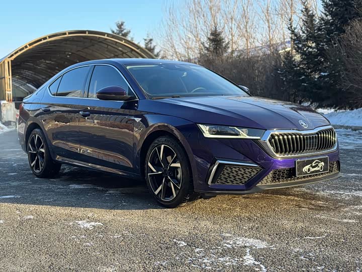 Фото 3 - Skoda Octavia Pro