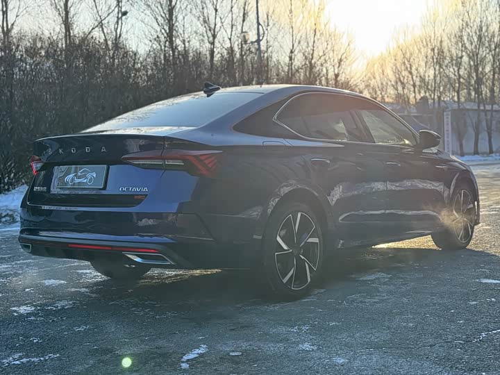 Фото 4 - Skoda Octavia Pro