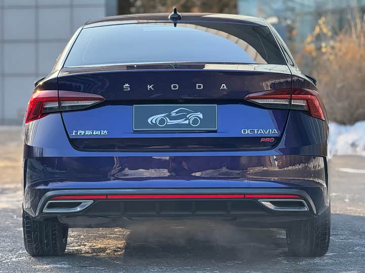 Фото 5 - Skoda Octavia Pro