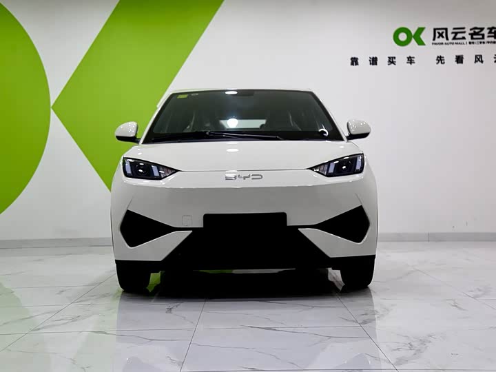 Фото 2 - BYD Seagull