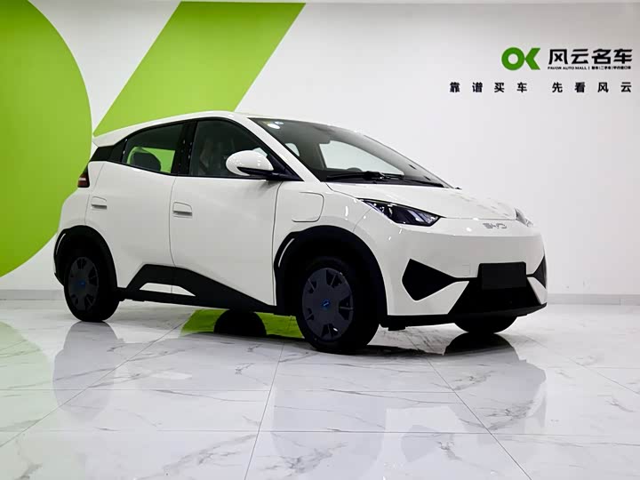 Фото 3 - BYD Seagull