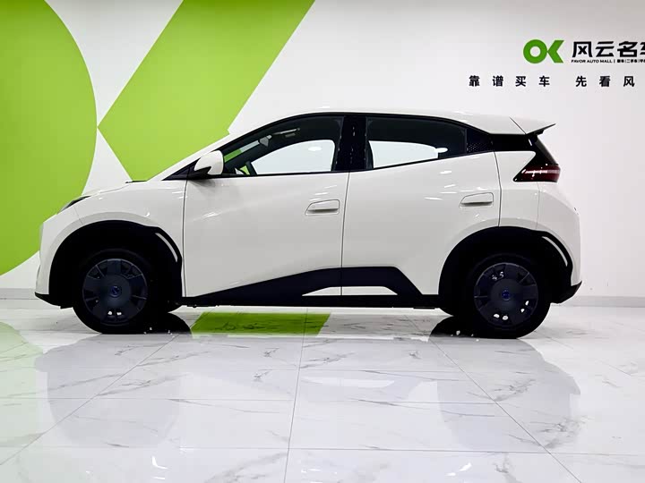 Фото 4 - BYD Seagull