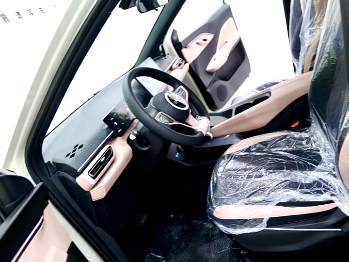 Фото 6 - BYD Seagull