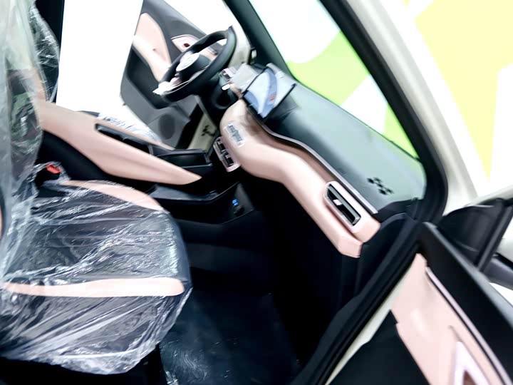 Фото 8 - BYD Seagull