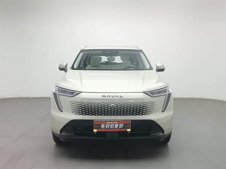 Фото 3 - Haval Ruge Max