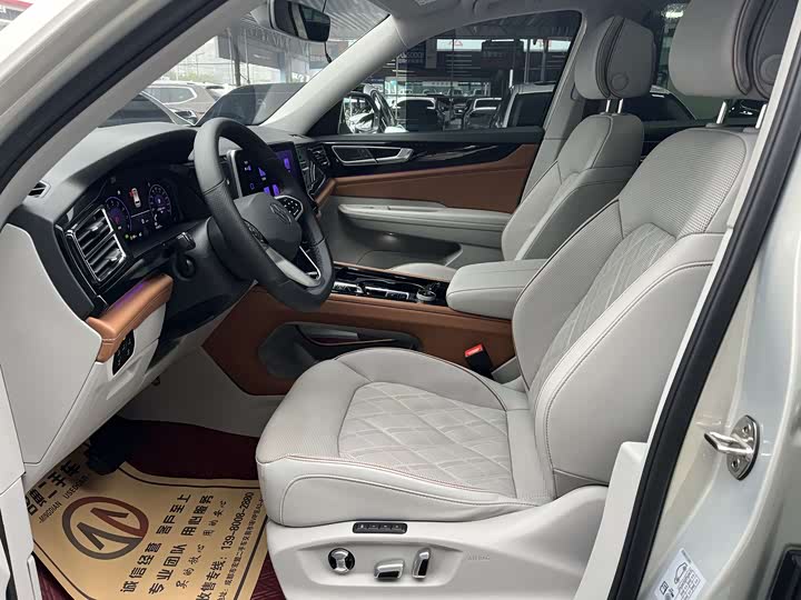 Фото 4 - Volkswagen Teramont Pro